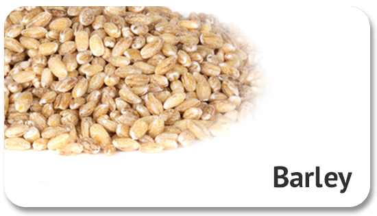 barley-international-trade