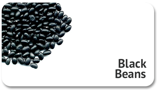 black-beans-global-trading-commodity-procurement