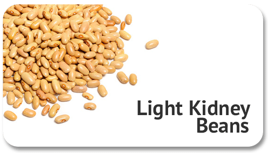 light-kidney-beans-global-commodity-trading