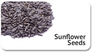 sunflower-seeds-global-trade-commodity